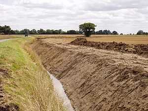 Poorly draining, clay-rich soils on the till plateau of South Norfolk.(© Tim Holt-Wilson)
