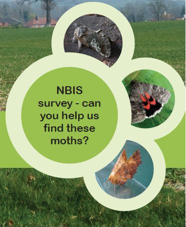 Autumn Moth Survey species
