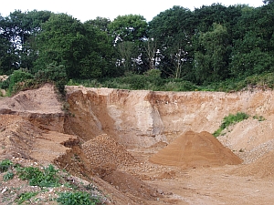 Rising Hill Pit, Letheringsett, is a Local Site (RIGS) designated for its geodiversity features