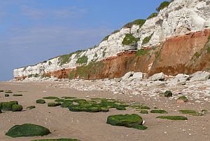 Hunstanton Cliffs SSSI, designated for its Cretaceous geology and cliff-nesting colony of fulmars (©Mike Hurn)